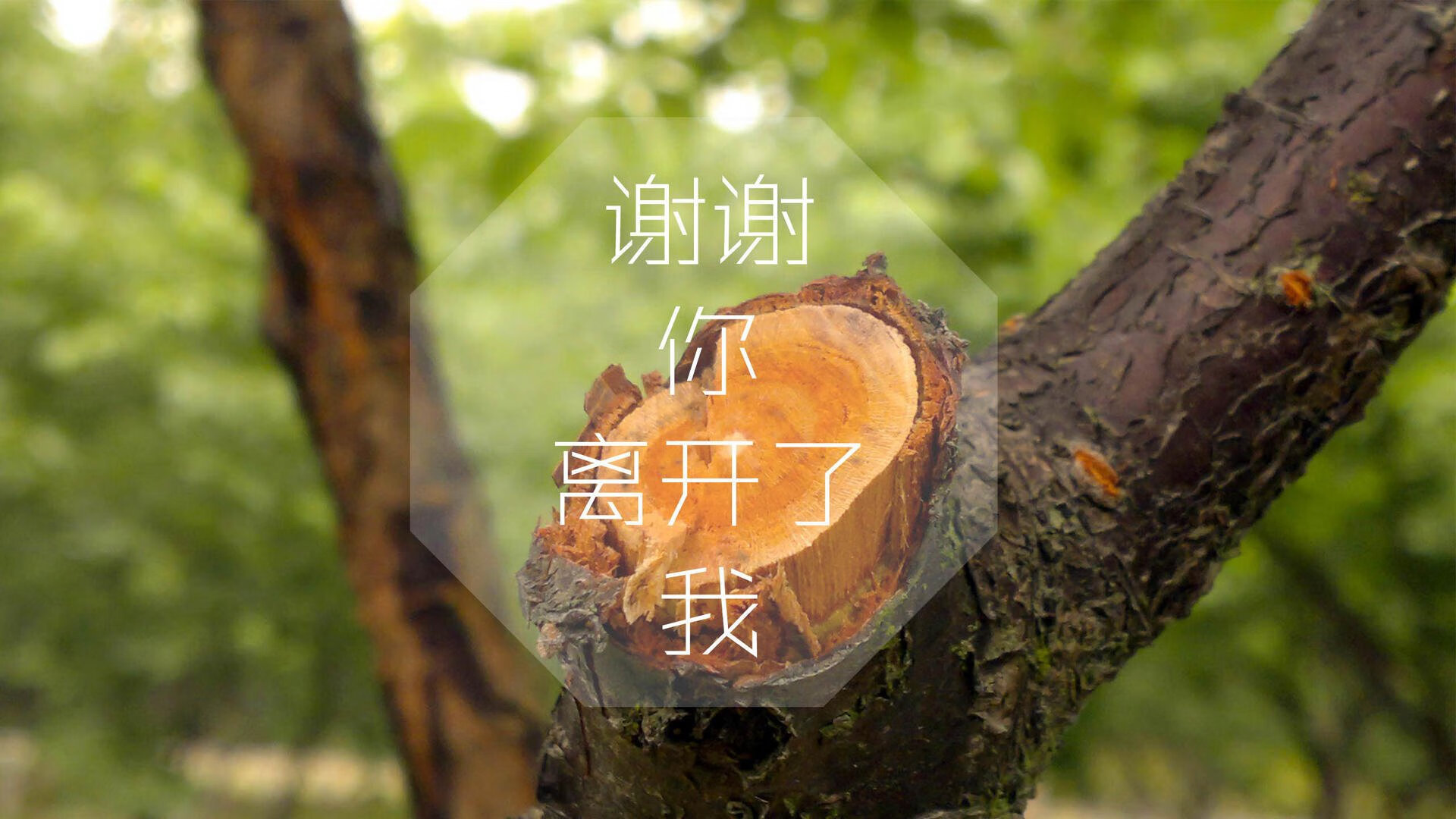 KAIYUNAPP-【生物识别技术在赛场】运动员健康监测全覆盖，运动员检测项目
