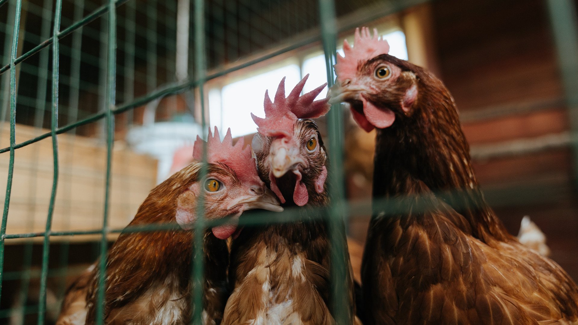 kaiyun开云·官方网站-伯科夫决赛精彩瞬间成为焦点，伯 夫差