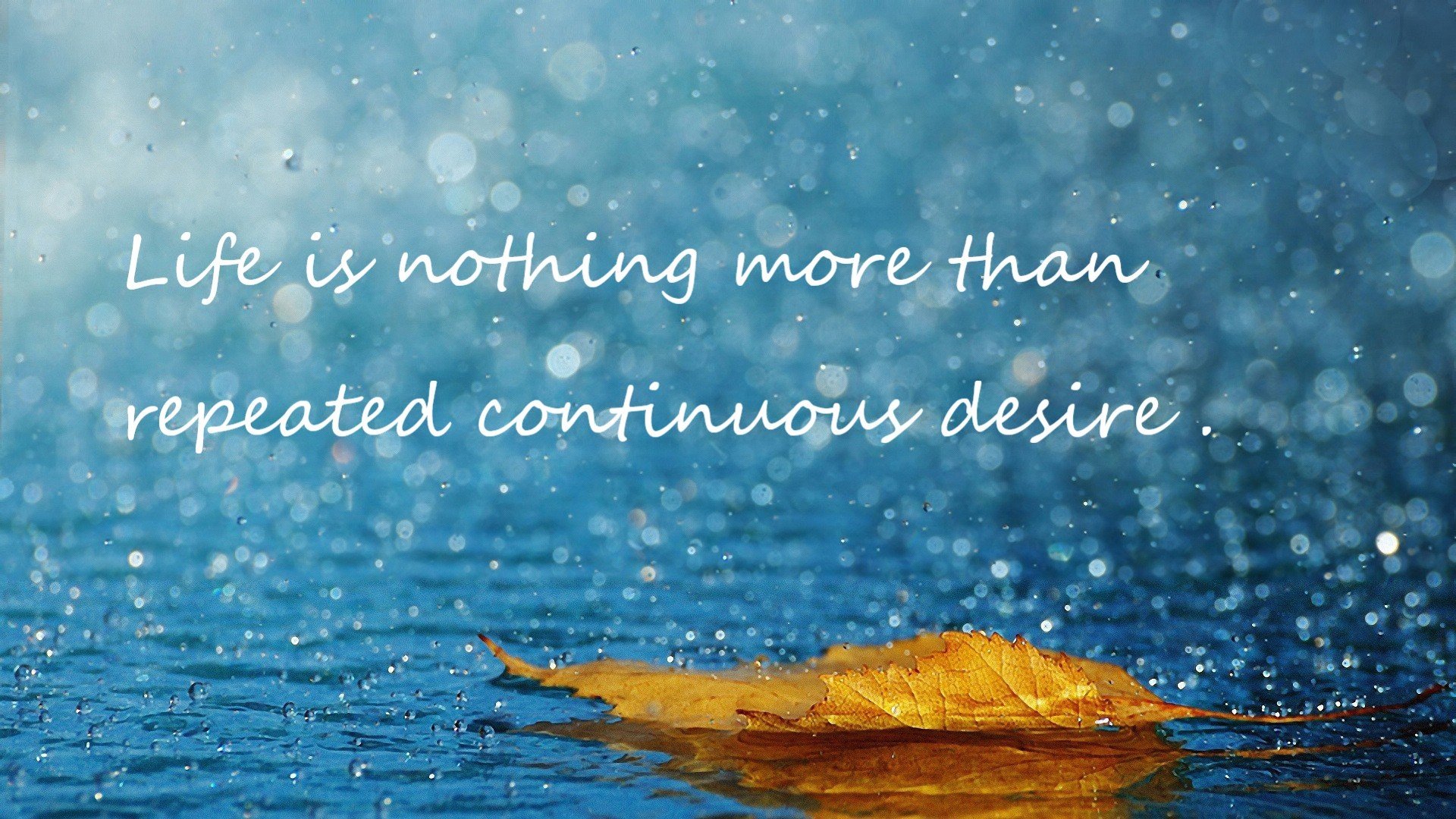 kaiyun官方网站-张伟丽赛后发文感谢团队和教练组，张伟丽赛后发声